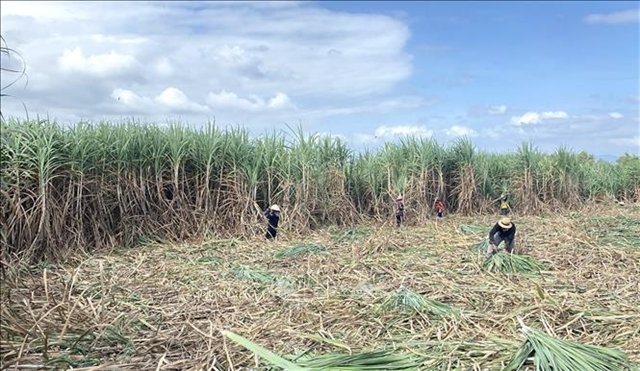 406124_5092026350947458_phu yen